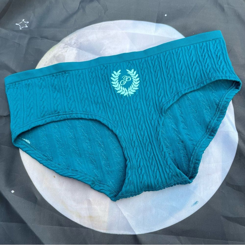 NWT PINK Victoria's Secret Jade Seamless Logo HipHugger Panty Size Medium